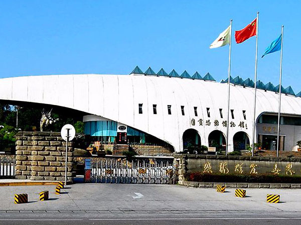 东方龙宫志愿者招募令 ——自贡恐龙博物馆2020年志愿者招募公告
