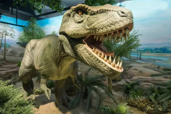 自贡不愧是”恐龙之乡“啊，在商圈游玩都能撞见恐龙骨架......
